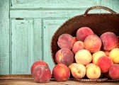 15252193-many-peaches-spilling-out-of-a-basket