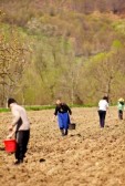 9502380-family-of-farmers-sowing-seeds-mixed-with-fertilizer-on-their-land